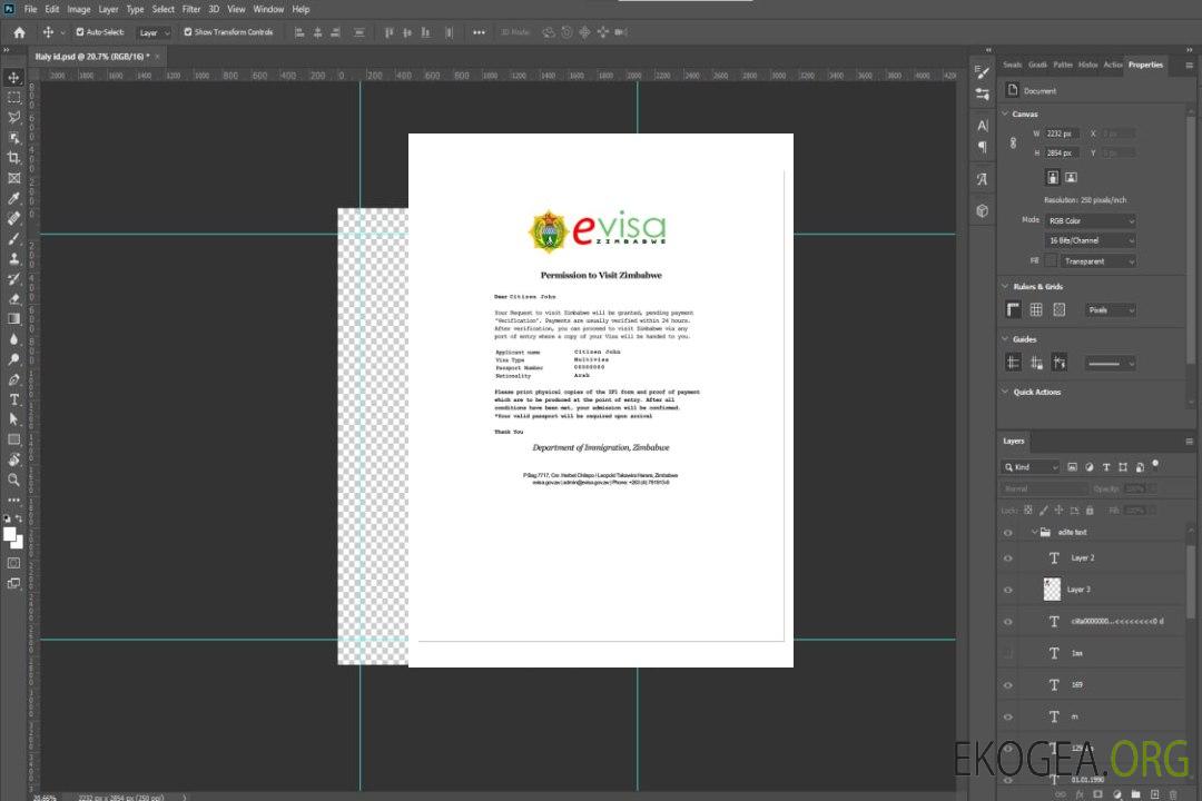 Visa électronique ZIMBABWE template Visa électronique ZIMBABWE template
